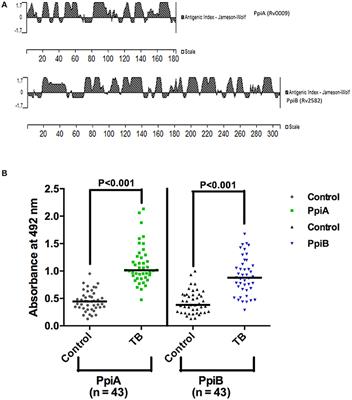 Mycobacterium tuberculosis Peptidyl-Prolyl Isomerases Are Immunogenic, Alter Cytokine Profile and Aid in Intracellular Survival